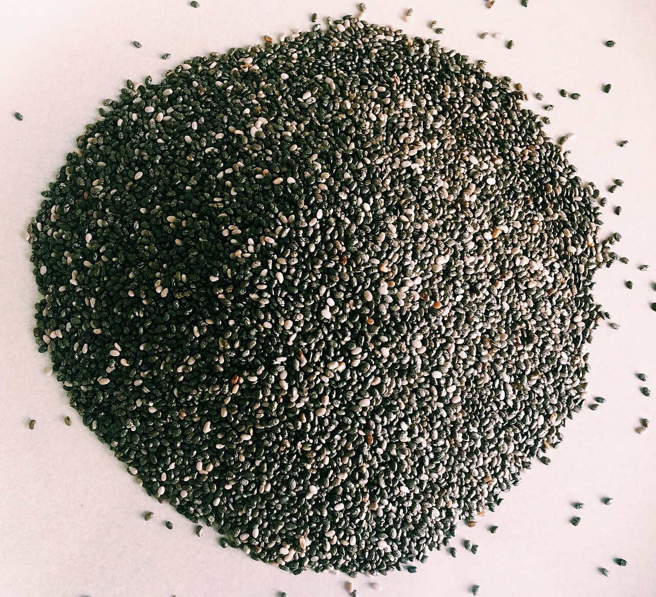 Chia sowing seeds ready for Gainview Farms packets